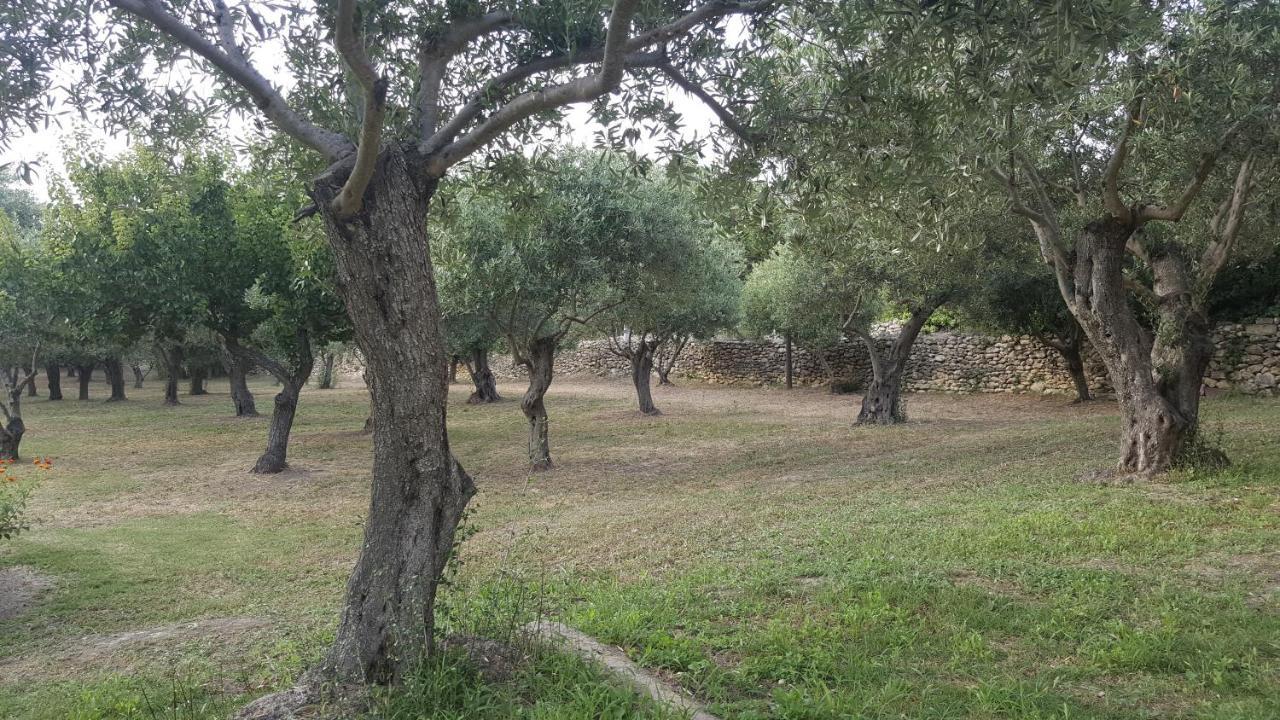 Serra E Mesu Affittacamere Magomadas Kültér fotó